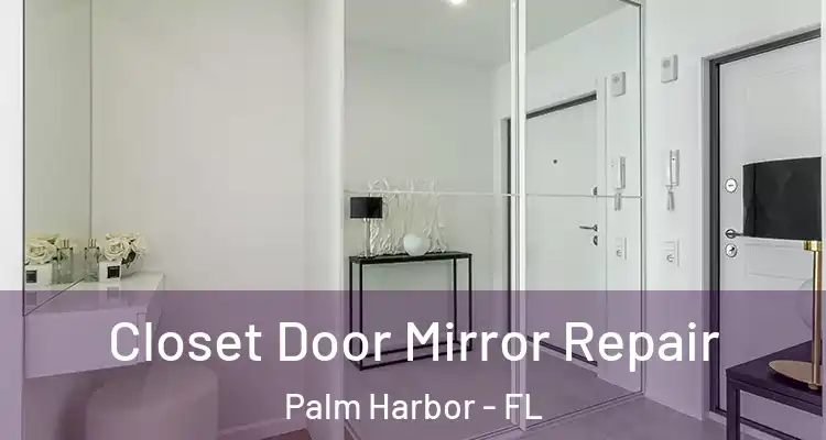  Closet Door Mirror Repair Palm Harbor - FL
