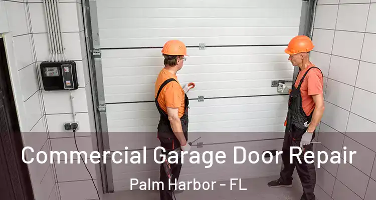  Commercial Garage Door Repair Palm Harbor - FL