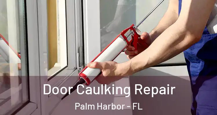  Door Caulking Repair Palm Harbor - FL