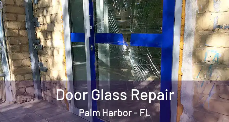  Door Glass Repair Palm Harbor - FL