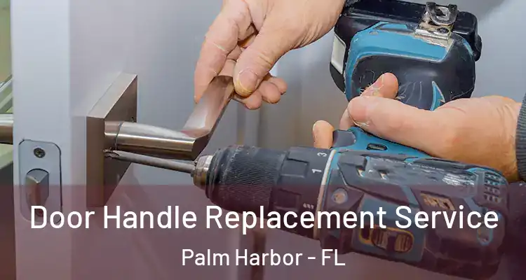  Door Handle Replacement Service Palm Harbor - FL