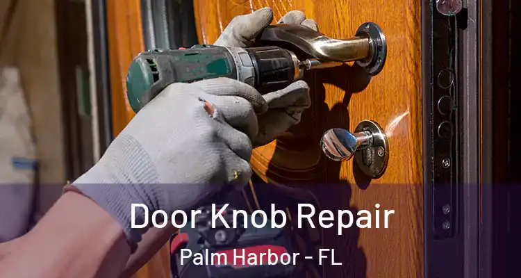  Door Knob Repair Palm Harbor - FL