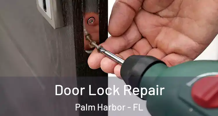  Door Lock Repair Palm Harbor - FL