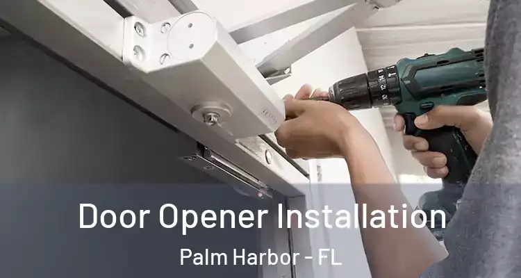  Door Opener Installation Palm Harbor - FL