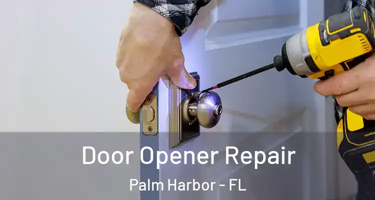  Door Opener Repair Palm Harbor - FL