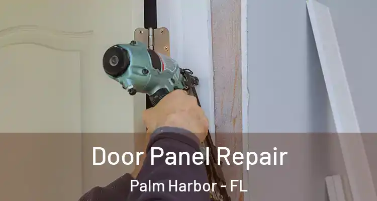  Door Panel Repair Palm Harbor - FL