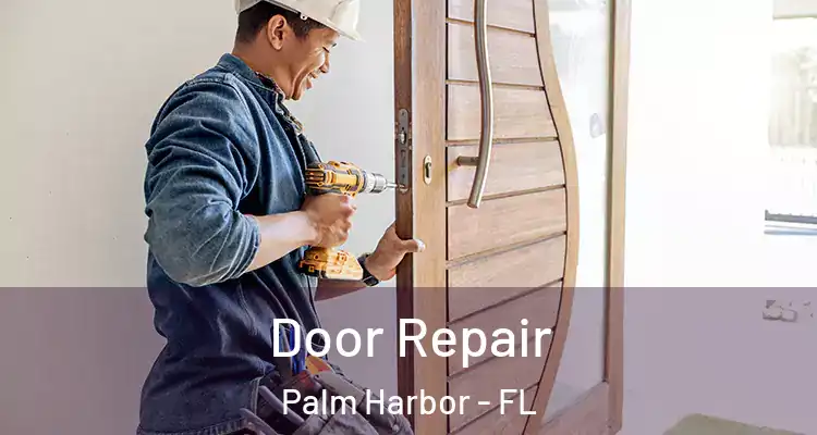  Door Repair Palm Harbor - FL