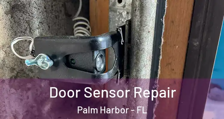  Door Sensor Repair Palm Harbor - FL
