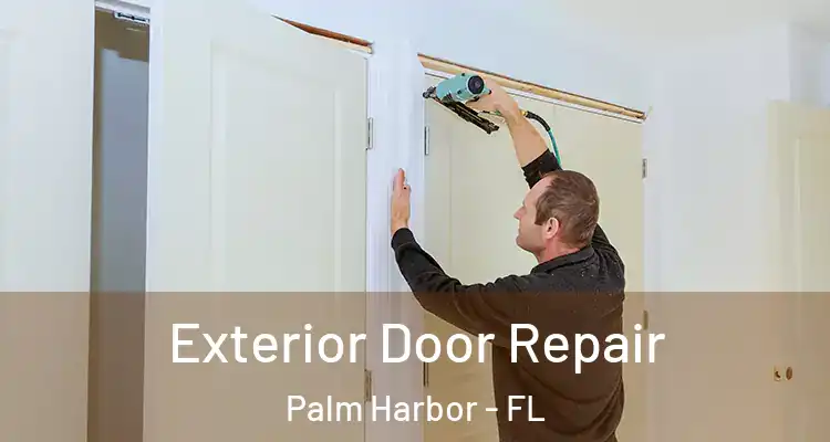  Exterior Door Repair Palm Harbor - FL