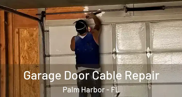  Garage Door Cable Repair Palm Harbor - FL