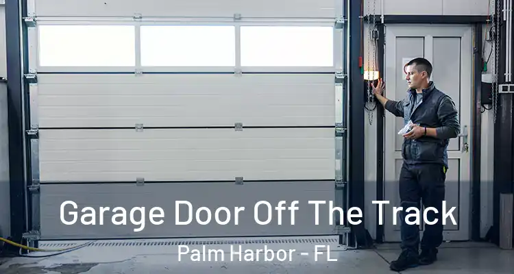  Garage Door Off The Track Palm Harbor - FL