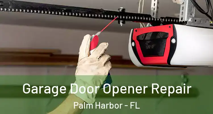  Garage Door Opener Repair Palm Harbor - FL
