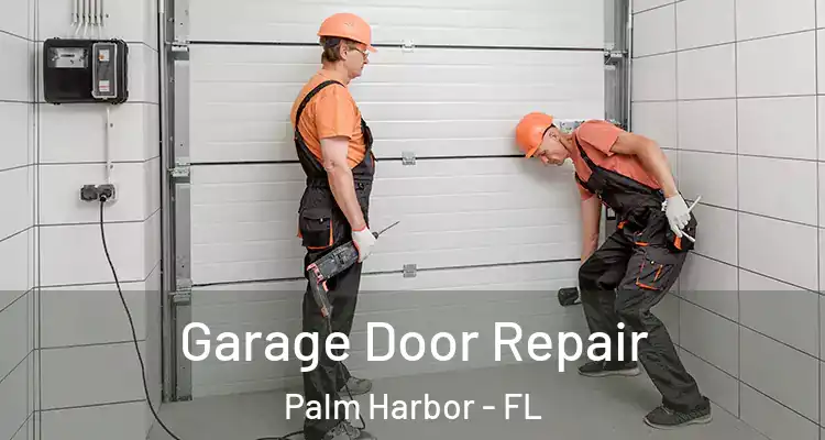  Garage Door Repair Palm Harbor - FL