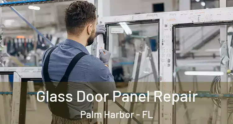  Glass Door Panel Repair Palm Harbor - FL