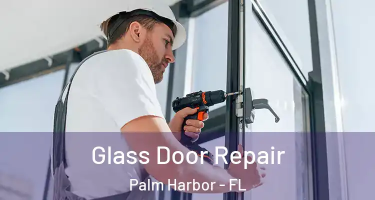  Glass Door Repair Palm Harbor - FL