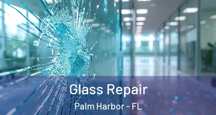  Glass Repair Palm Harbor - FL