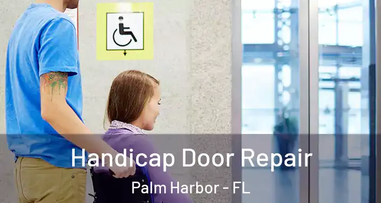  Handicap Door Repair Palm Harbor - FL