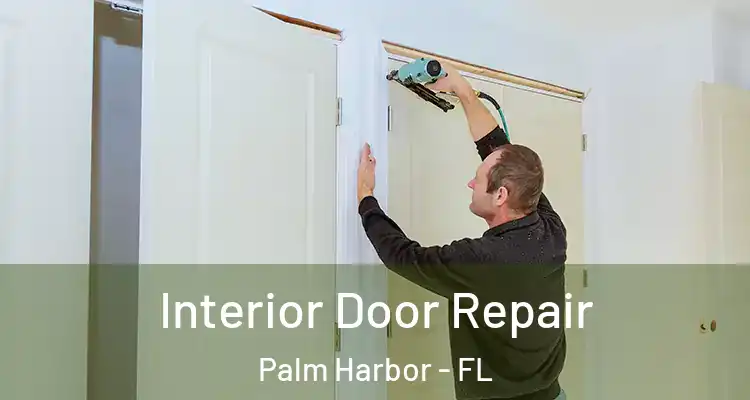  Interior Door Repair Palm Harbor - FL