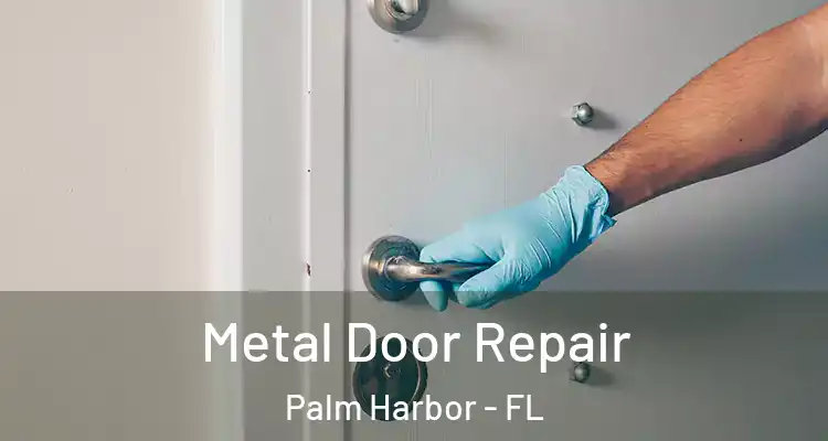  Metal Door Repair Palm Harbor - FL