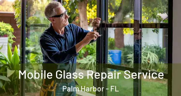  Mobile Glass Repair Service Palm Harbor - FL