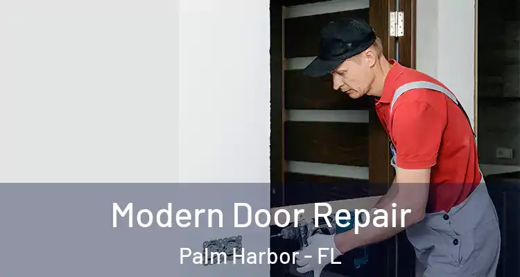  Modern Door Repair Palm Harbor - FL