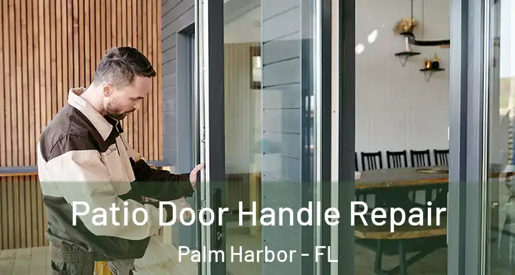  Patio Door Handle Repair Palm Harbor - FL