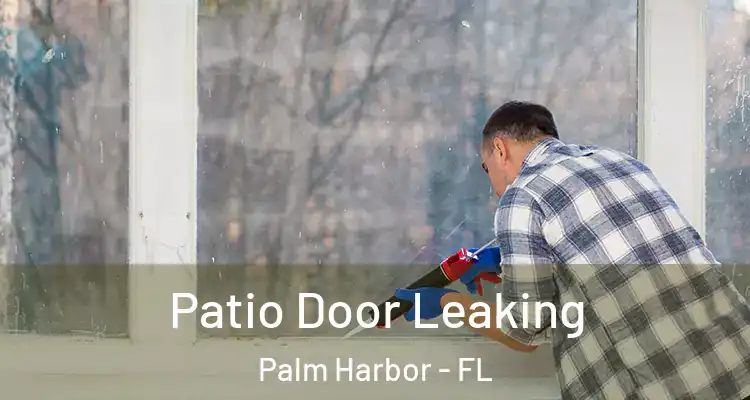  Patio Door Leaking Palm Harbor - FL