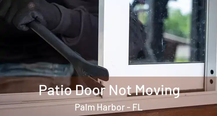  Patio Door Not Moving Palm Harbor - FL