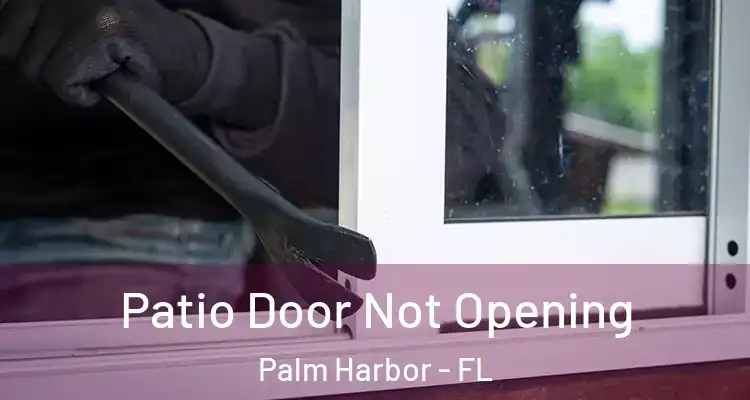  Patio Door Not Opening Palm Harbor - FL