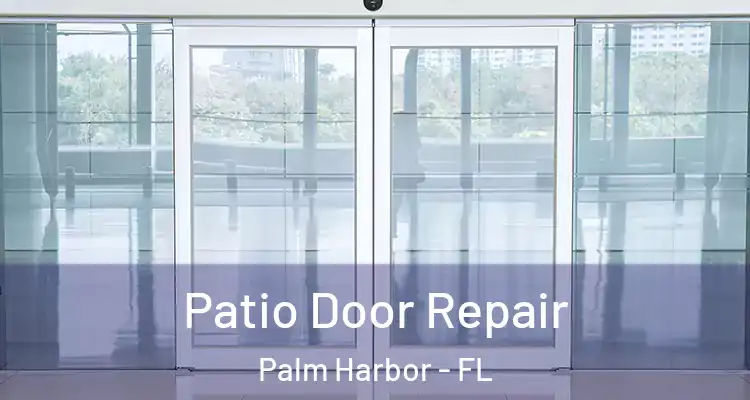  Patio Door Repair Palm Harbor - FL