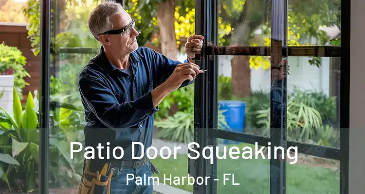  Patio Door Squeaking Palm Harbor - FL