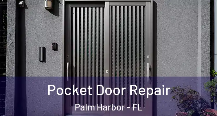 Pocket Door Repair Palm Harbor - FL