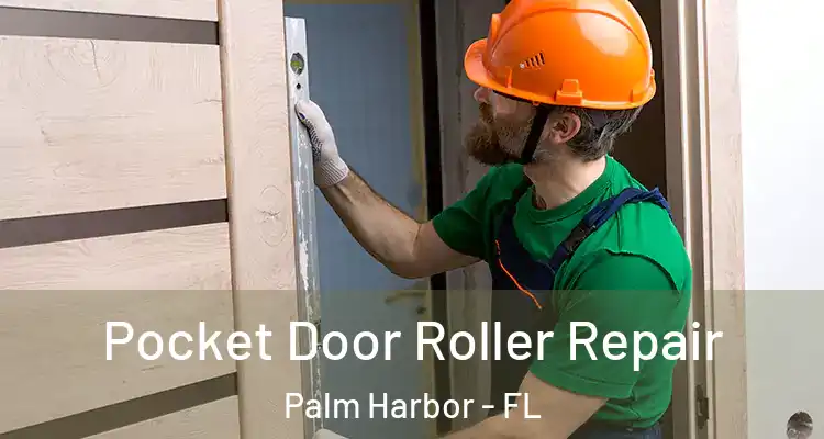  Pocket Door Roller Repair Palm Harbor - FL