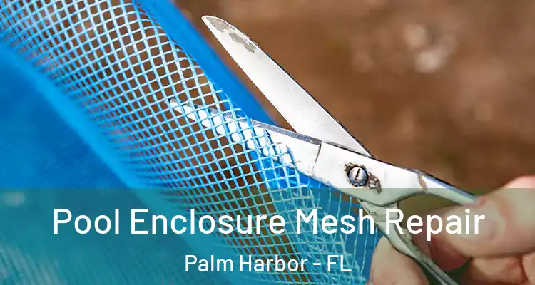  Pool Enclosure Mesh Repair Palm Harbor - FL