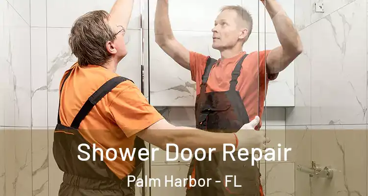  Shower Door Repair Palm Harbor - FL