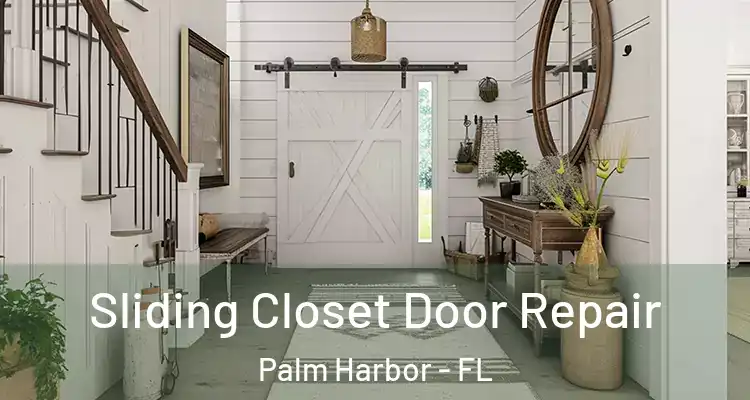  Sliding Closet Door Repair Palm Harbor - FL