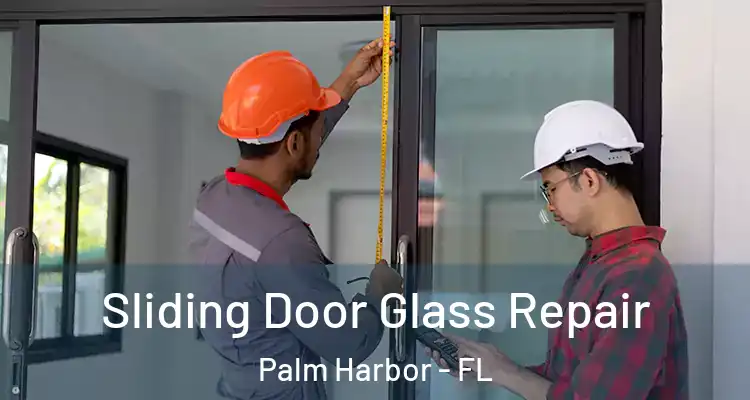  Sliding Door Glass Repair Palm Harbor - FL