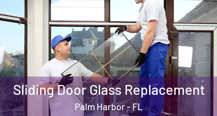  Sliding Door Glass Replacement Palm Harbor - FL