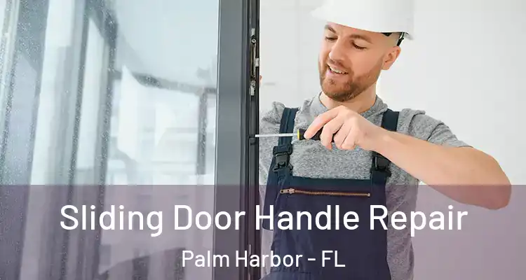  Sliding Door Handle Repair Palm Harbor - FL