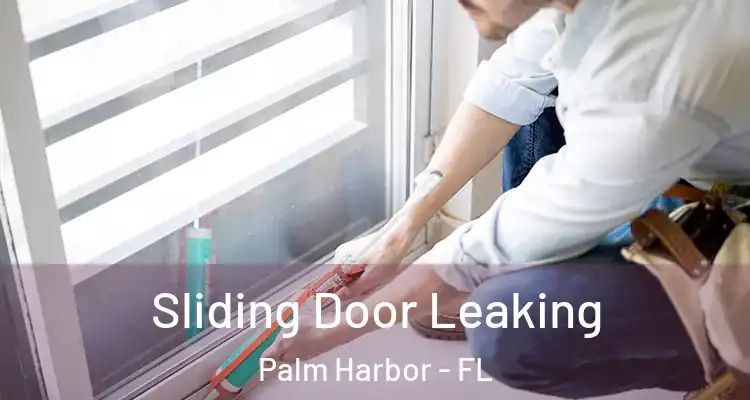  Sliding Door Leaking Palm Harbor - FL