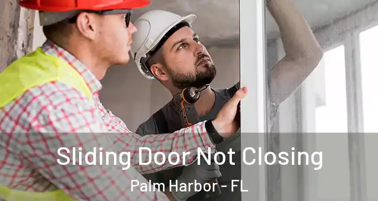  Sliding Door Not Closing Palm Harbor - FL