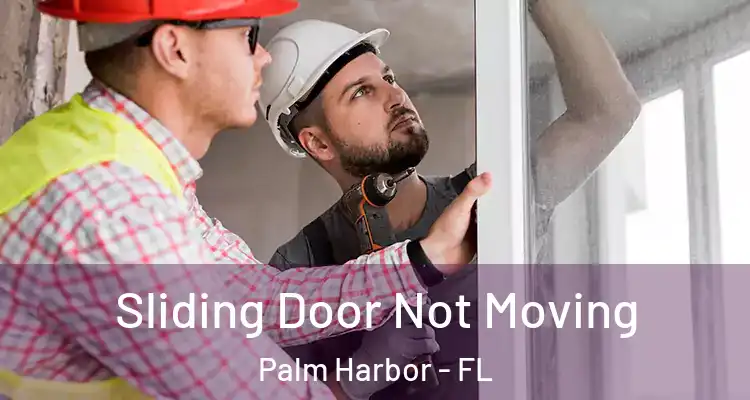  Sliding Door Not Moving Palm Harbor - FL