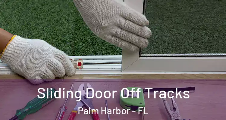  Sliding Door Off Tracks Palm Harbor - FL