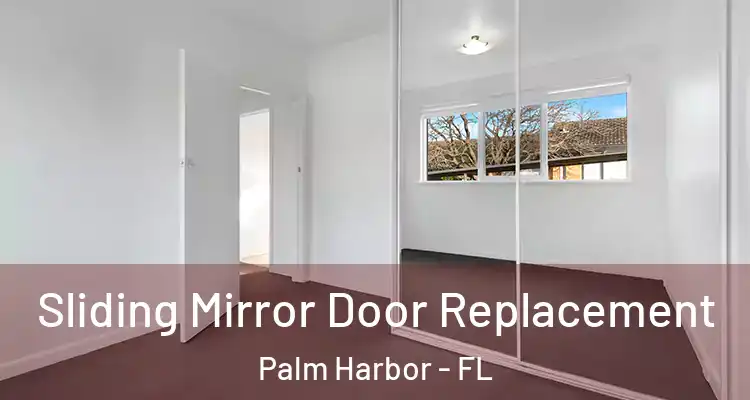  Sliding Mirror Door Replacement Palm Harbor - FL