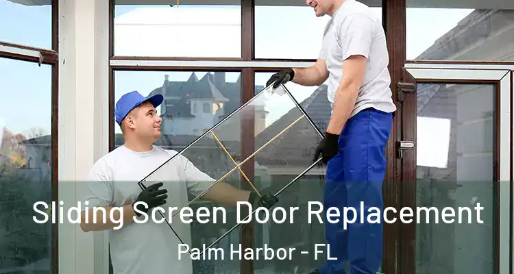  Sliding Screen Door Replacement Palm Harbor - FL