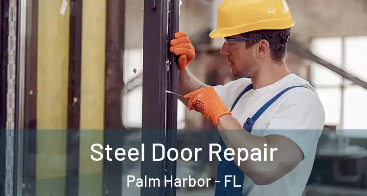  Steel Door Repair Palm Harbor - FL
