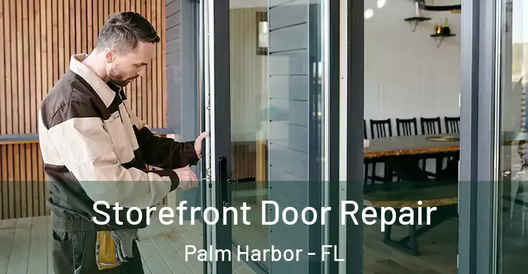 Storefront Door Repair Palm Harbor - FL