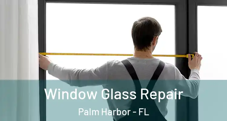  Window Glass Repair Palm Harbor - FL
