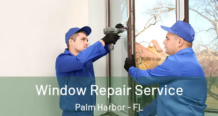  Window Repair Service Palm Harbor - FL