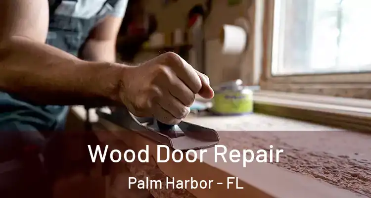  Wood Door Repair Palm Harbor - FL